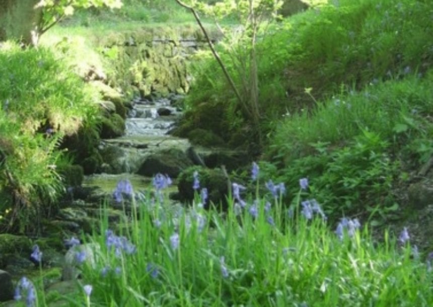 Join us on a green journey at White Peak Distillery