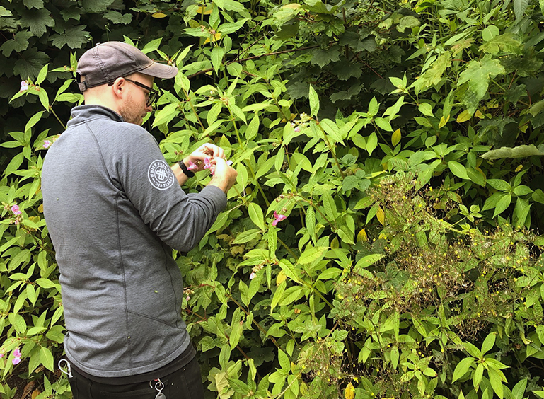 We are very excited about our latest gin! We’ve collaborated with Derbyshire Wildlife Trust on a limited edition ‘fundraising’ gin. Say hello to our ‘Riverside Gin’