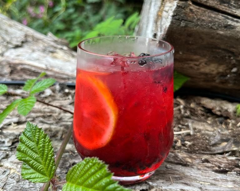 Bramble Gin cocktail